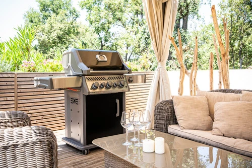 Napoleon Rogue SE 425 RSIB - Afbeelding 5