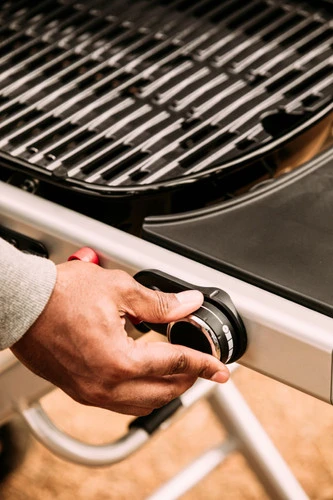 Weber Traveler - Image 12