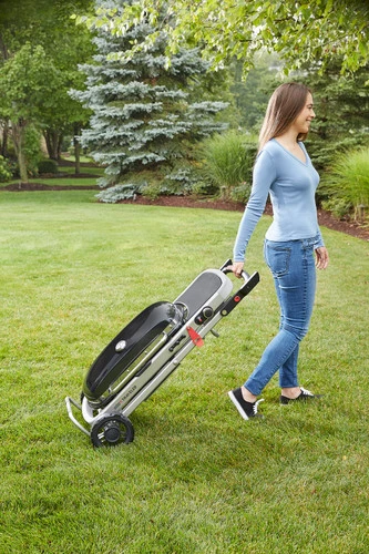Weber Traveler - Image 11