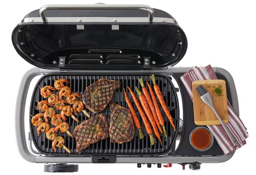 Weber Traveler - Image 6