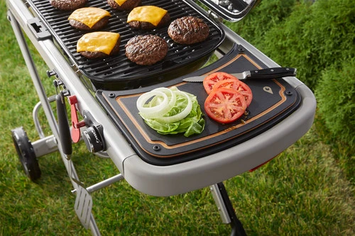 Weber Traveler - Image 14