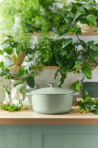 Tefal LOV Braadpan 25 Cm Groen - Image 11